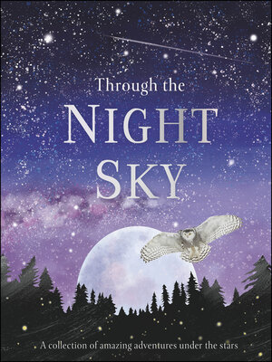 cover image of Through the Night Sky